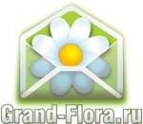 Логотип компании Доставка цветов Гранд Флора (ф-л г.Новотроицк)